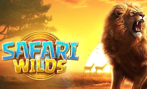 Safari Wilds